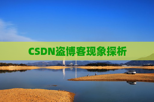CSDN盗博客现象探析 CSDN盗博客现象探析